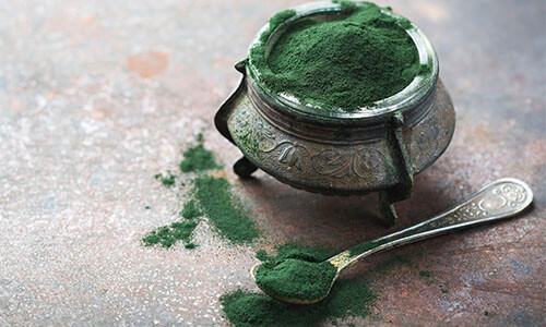 Chlorella powder