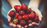 Ingrediente_morangos
