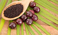 Ingrediente_Acai